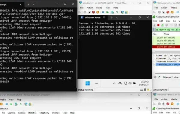 Win-DDoS: Уязвимость Windows угрожает бизнесу DDoS-атаками