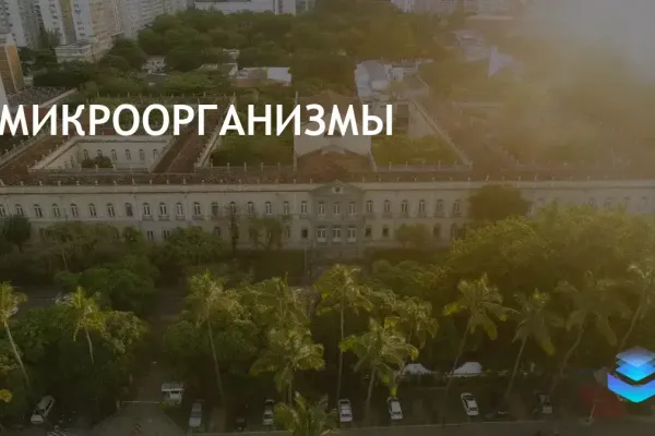 Исследование UFRJ: морские микроорганизмы улучшают экологическую устойчивость