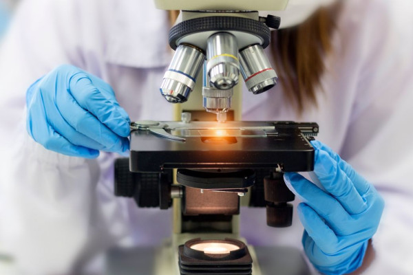 Нанотехнология: перспективы в играх и медицине