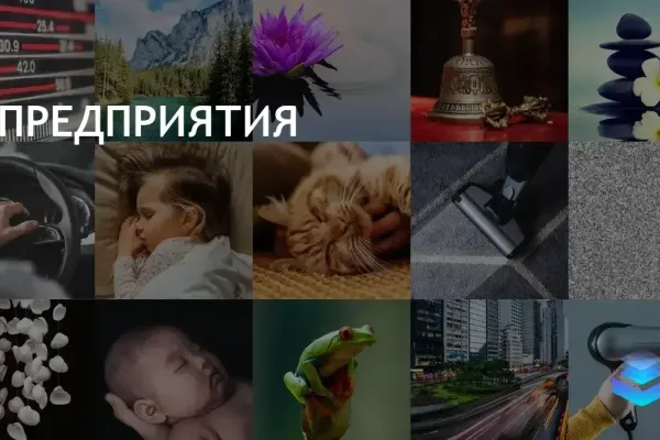 Местный бизнес в Платт-Вэлли привлекает больше внимания и инвестиций