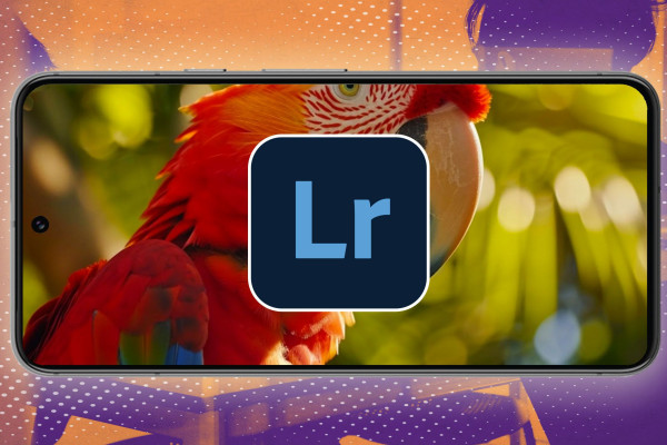 Ключевые мобильные приложения от Adobe для бизнеса