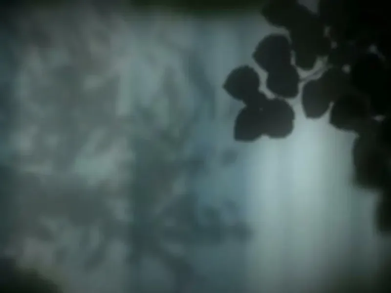 slide for 3 slide for 3