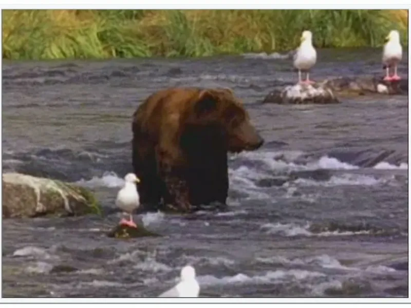 slide for 2 slide for 2