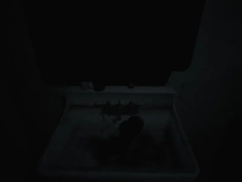 slide for 2 slide for 2