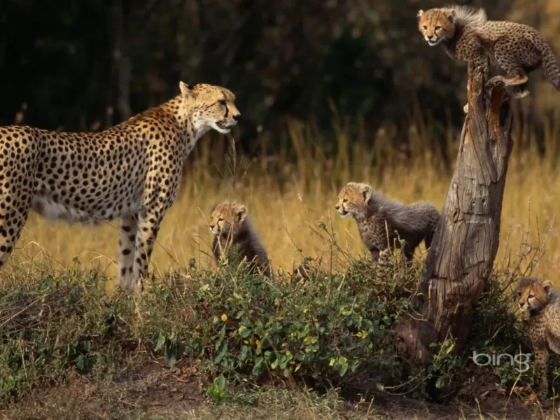 slide for 3 slide for 3