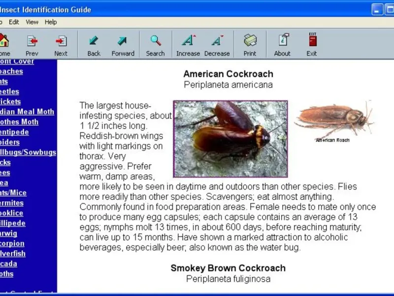 slide for 4 slide for 4