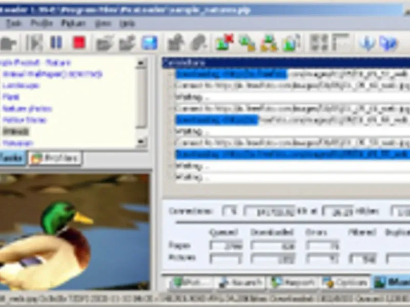 slide for 2 slide for 2