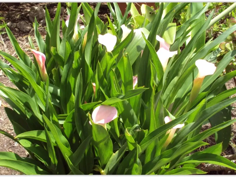 slide for 6 slide for 6