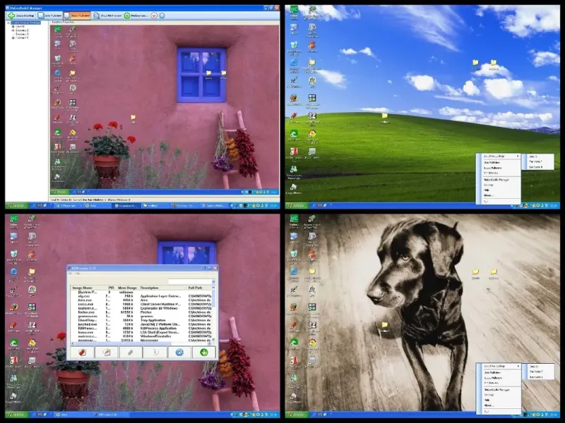 slide for 4 slide for 4