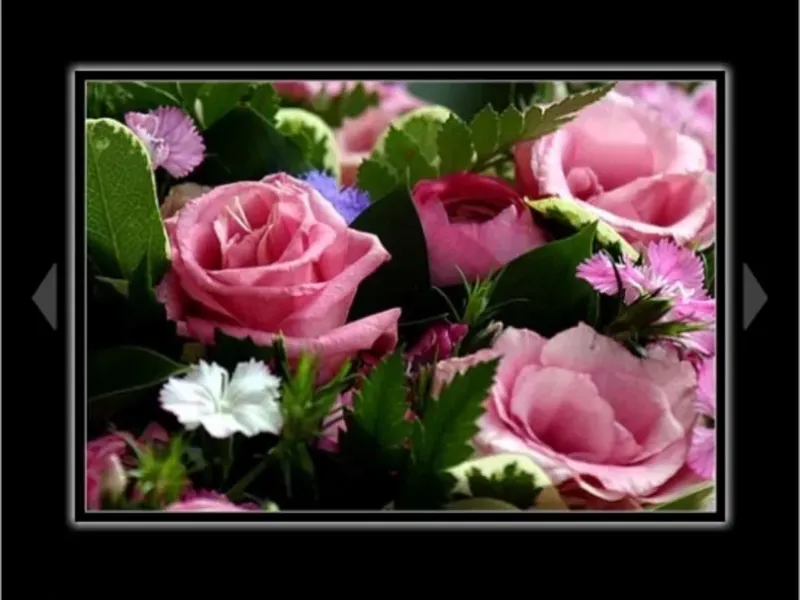 slide for 3 slide for 3