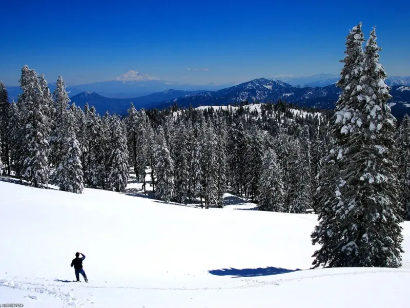 slide for 4 slide for 4