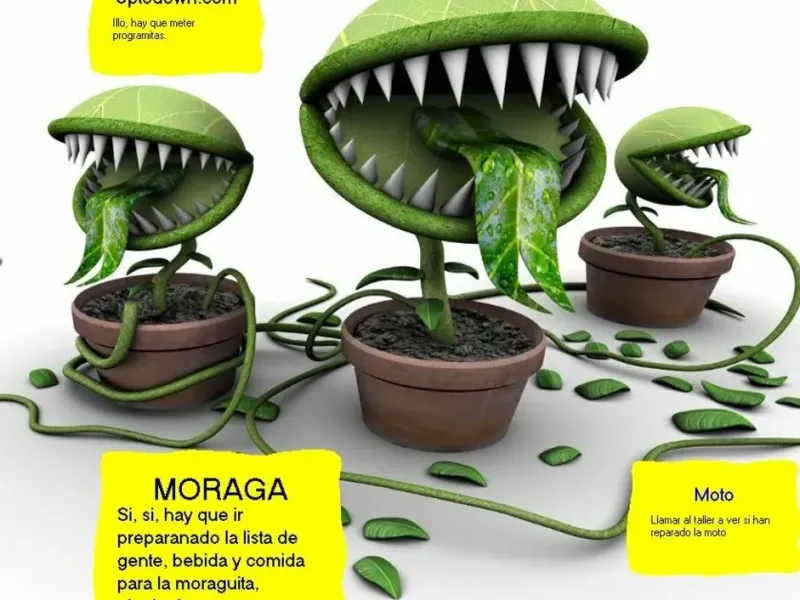 slide for 1 slide for 1