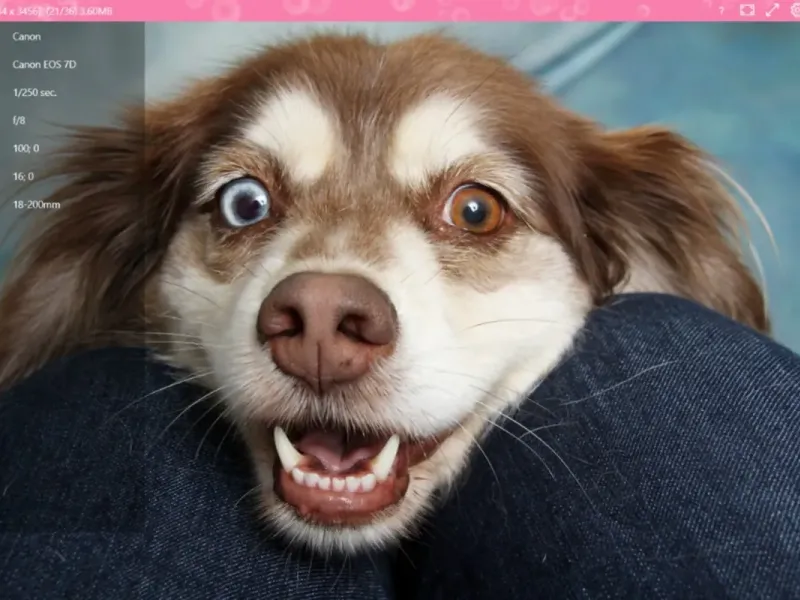 slide for 1 slide for 1