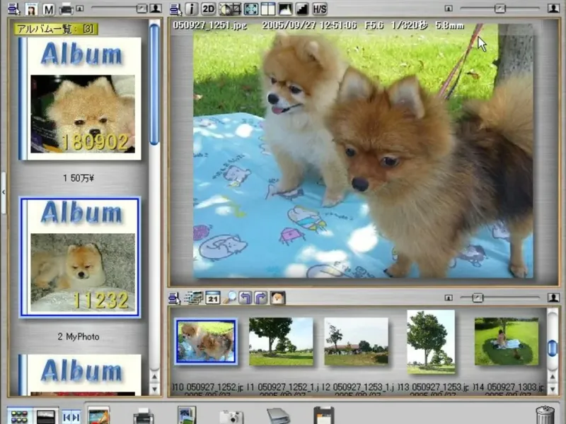 slide for 4 slide for 4
