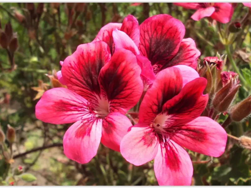 slide for 2 slide for 2