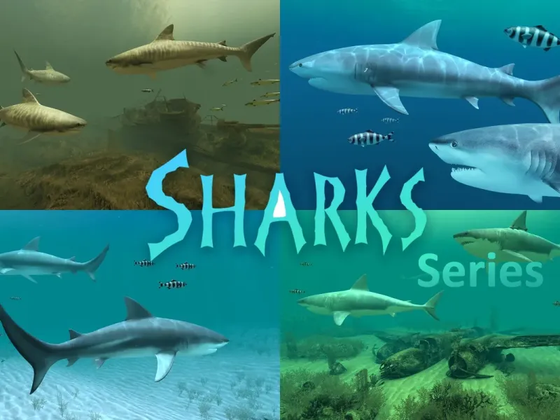 slide for 2 slide for 2