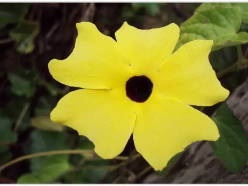 slide for 5 slide for 5