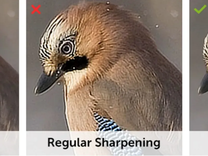 slide for 3 slide for 3