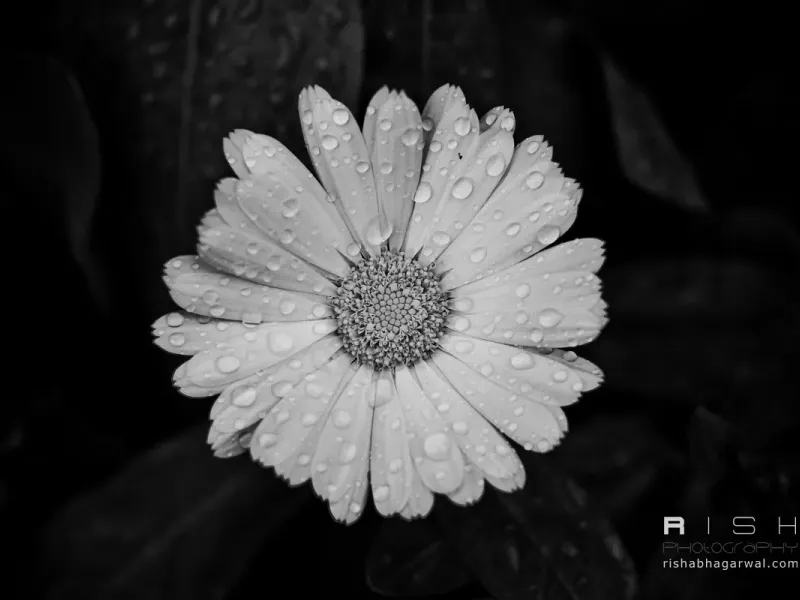 slide for 4 slide for 4