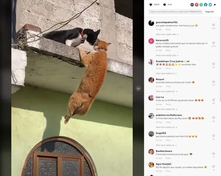 slide for 6 slide for 6