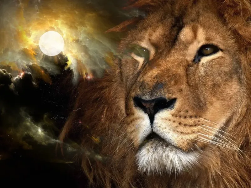 slide for 5 slide for 5