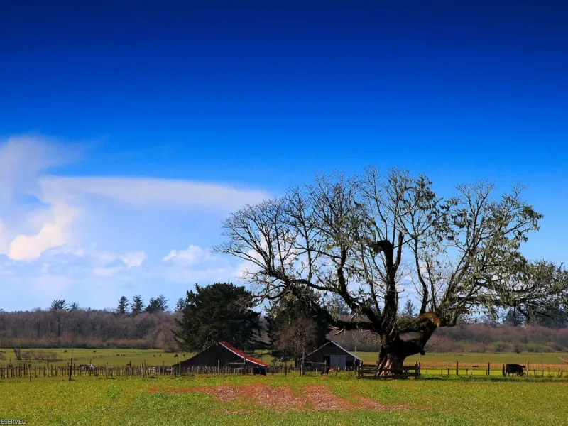 slide for 2 slide for 2