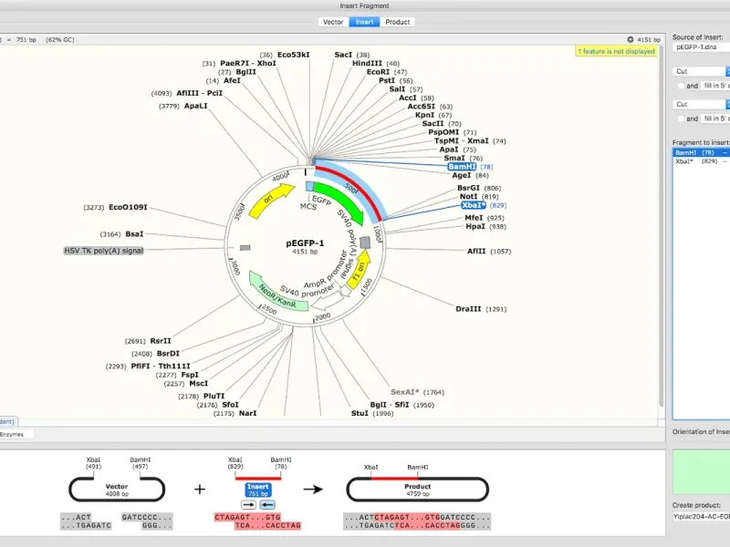 slide for 3 slide for 3