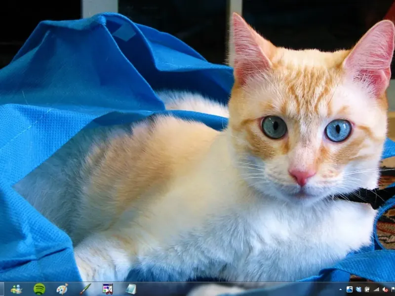 slide for 6 slide for 6