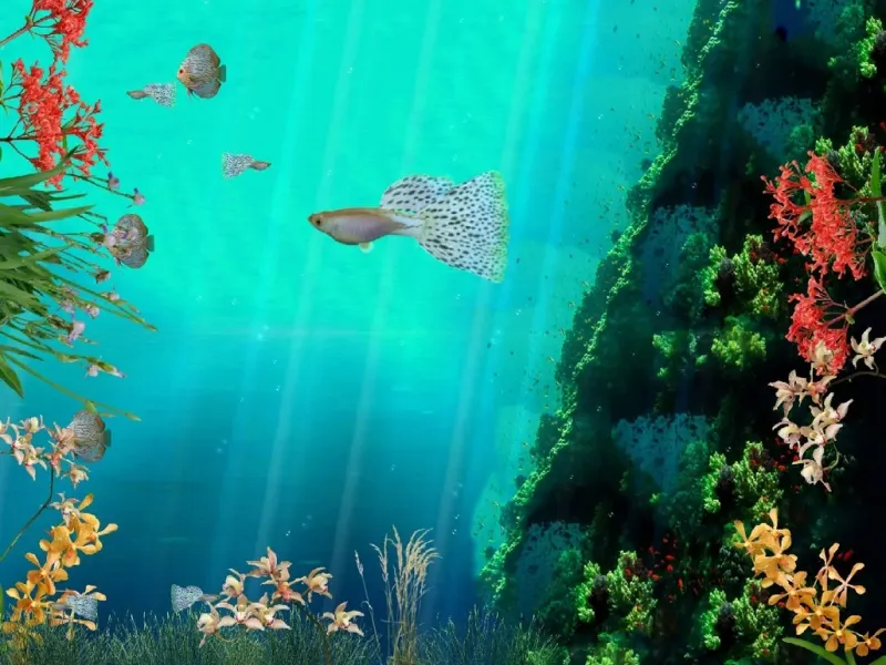 slide for 2 slide for 2