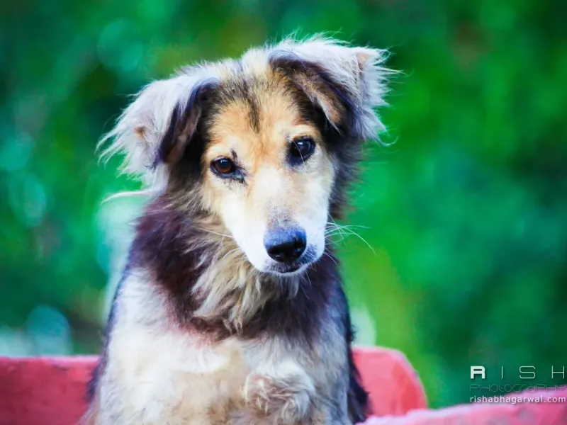 slide for 9 slide for 9