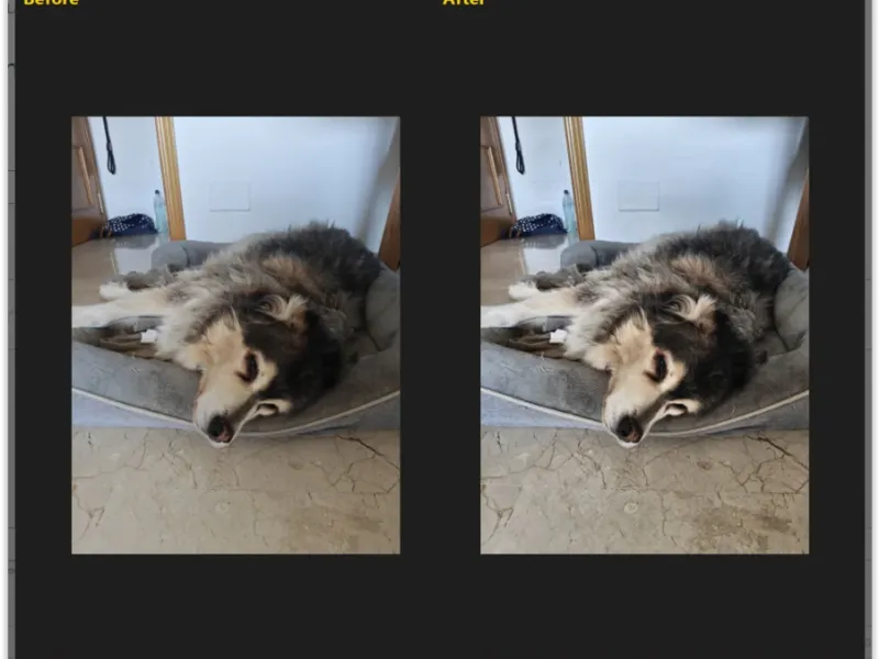slide for 2 slide for 2