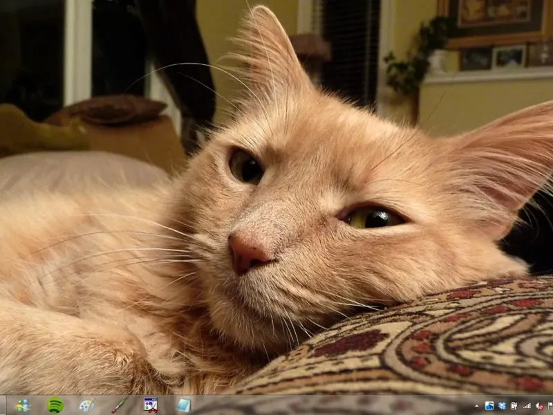 slide for 5 slide for 5