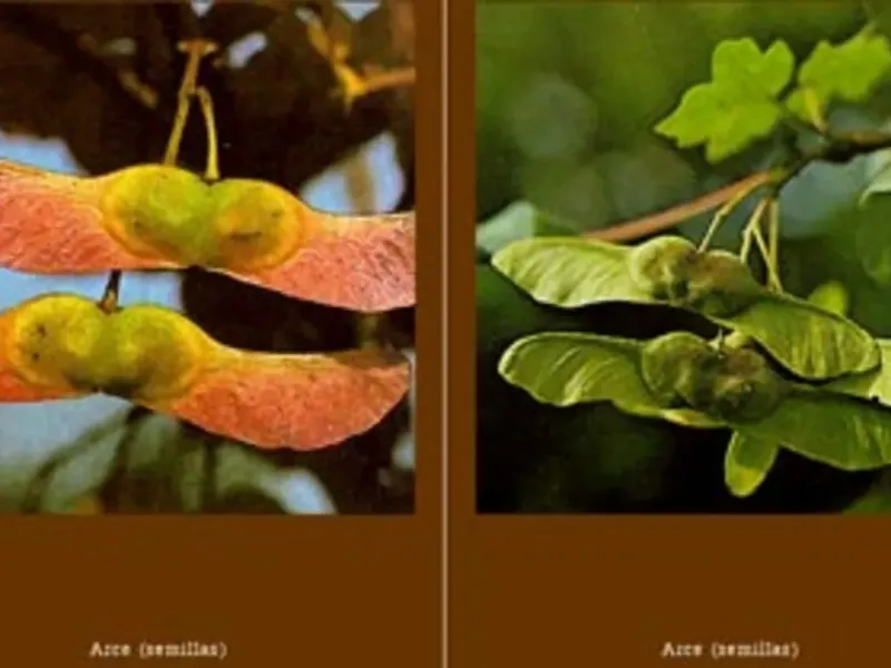 slide for 2 slide for 2