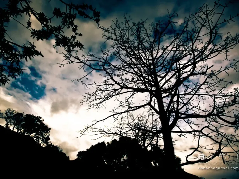 slide for 2 slide for 2