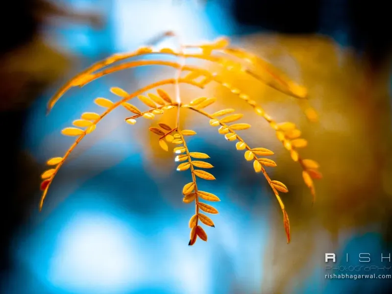 slide for 3 slide for 3