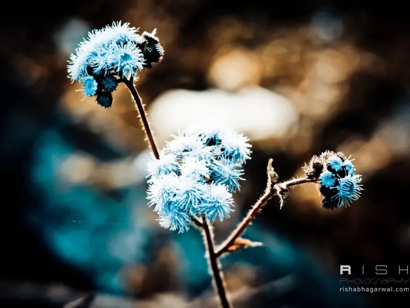 slide for 1 slide for 1