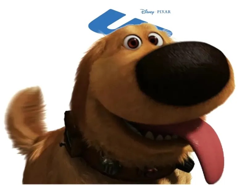 slide for 2 slide for 2