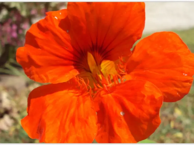 slide for 1 slide for 1