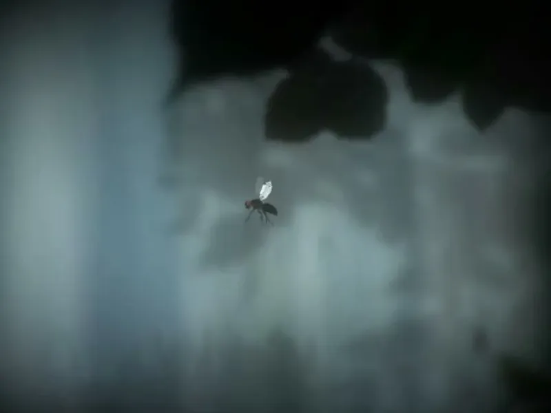 slide for 5 slide for 5