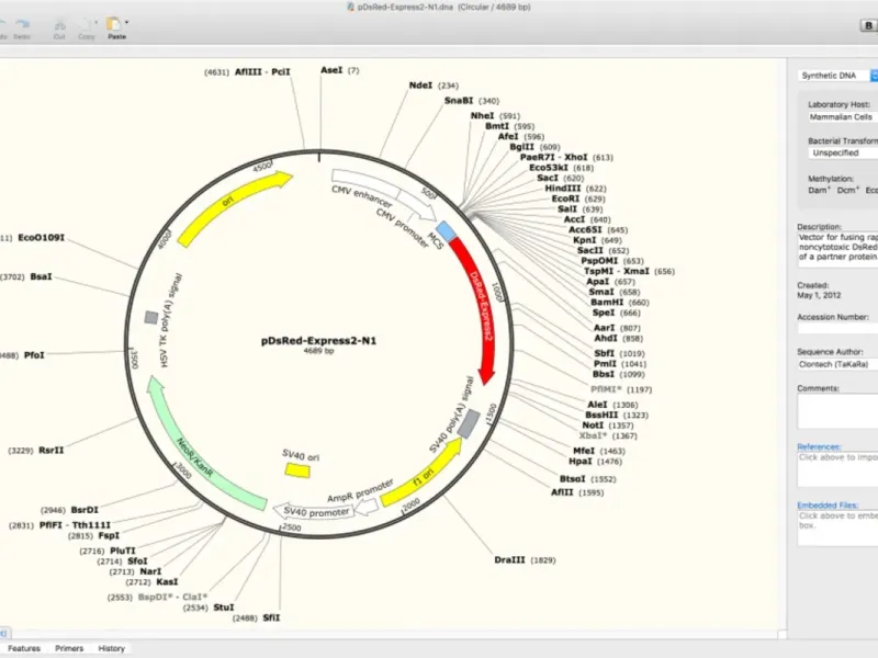 slide for 4 slide for 4