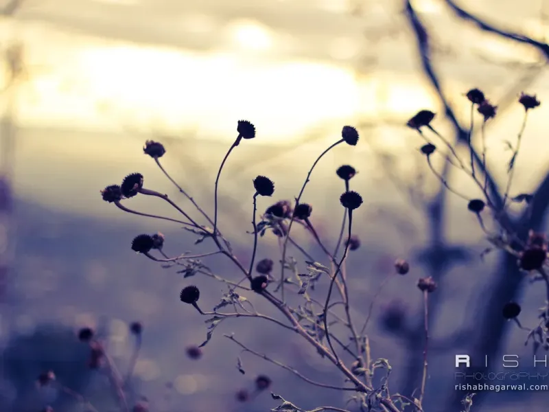 slide for 7 slide for 7