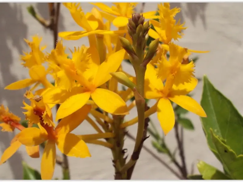 slide for 8 slide for 8