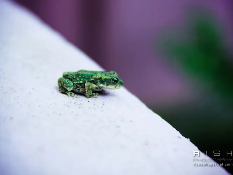 slide for 12 slide for 12