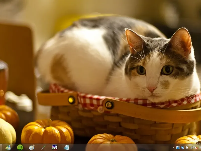 slide for 9 slide for 9