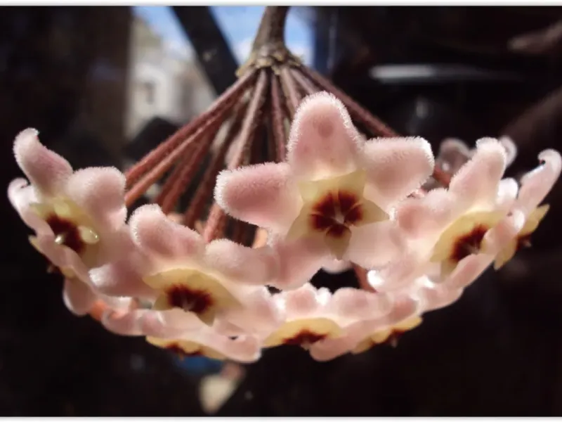 slide for 3 slide for 3