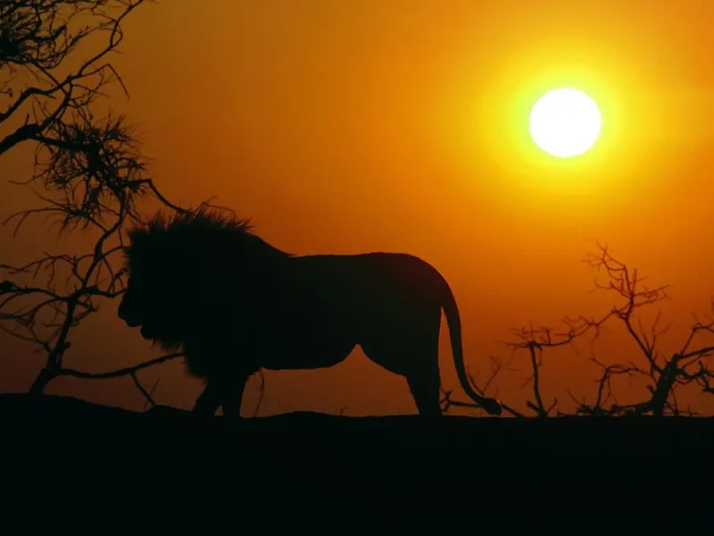 slide for 3 slide for 3