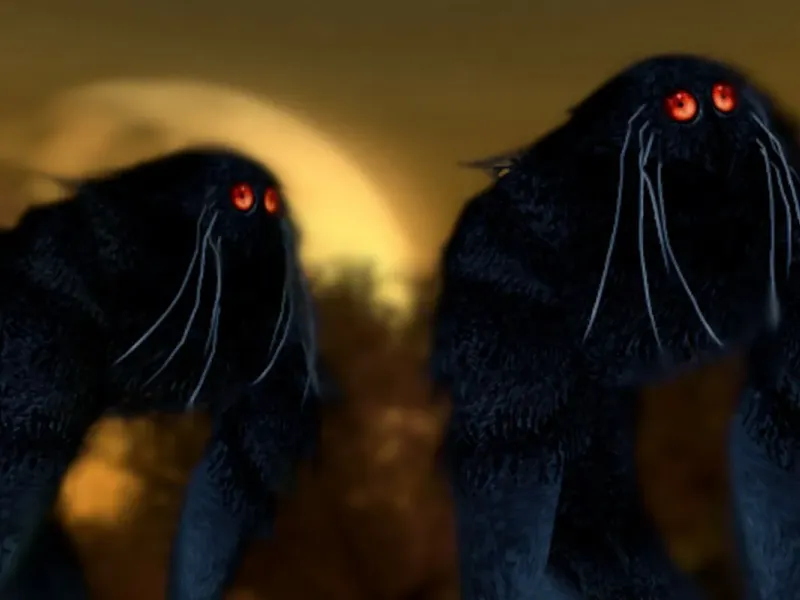 slide for 3 slide for 3