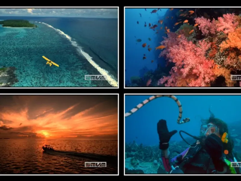 slide for 1 slide for 1