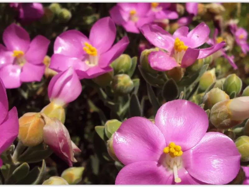 slide for 7 slide for 7