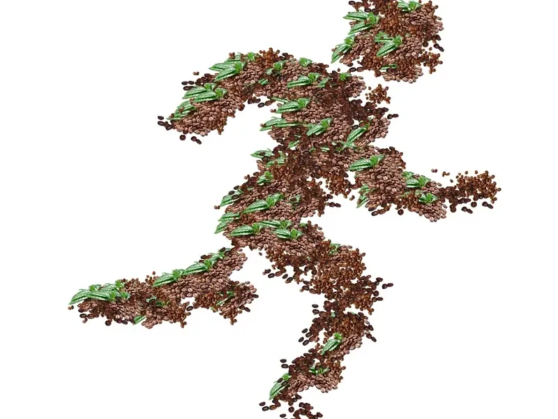 slide for 1 slide for 1